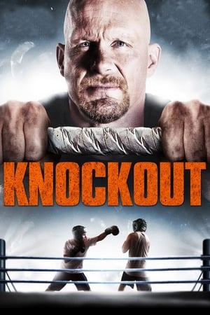 Born to Fight 2011 Hindi Dual Audio 720p BluRay [1.3GB] - Movierulz