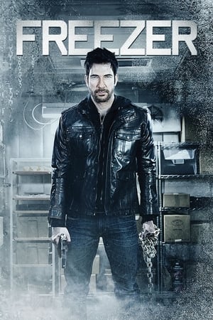 Freezer (2014) Hindi Dual Audio 480p BluRay 250MB - Movierulz